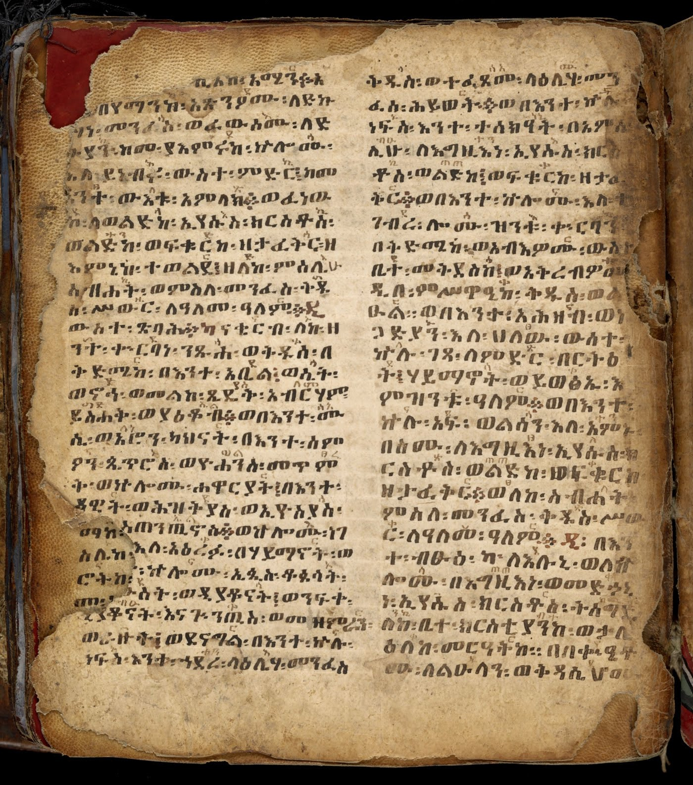 holy bible ethiopic version pdf
